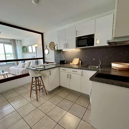 Apartament Appt 4 Couchages Ct320-h316 *
